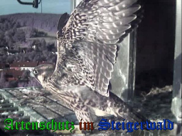 Copyright AiS-Wörner Bild zum Eintrag (38082-160)