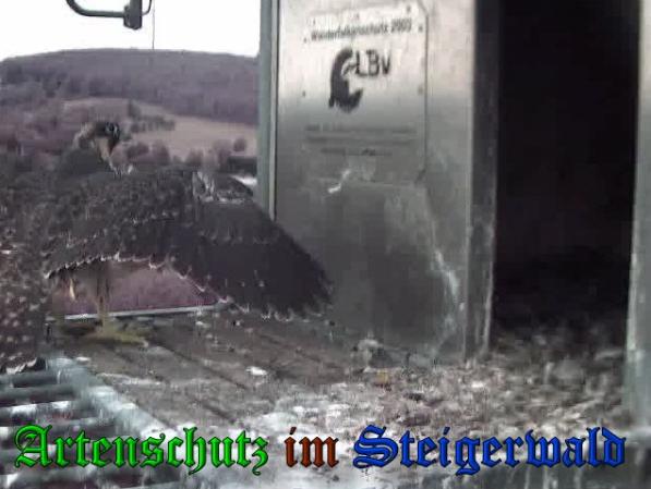 Copyright AiS-Wörner Bild zum Eintrag (38085-160)