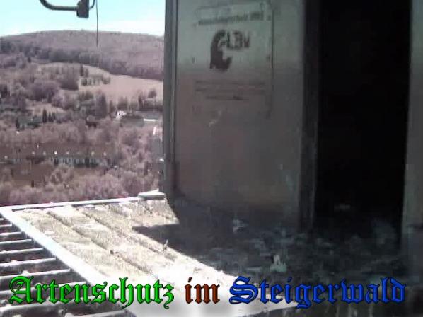 Copyright AiS-Wörner Bild zum Eintrag (38087-160)