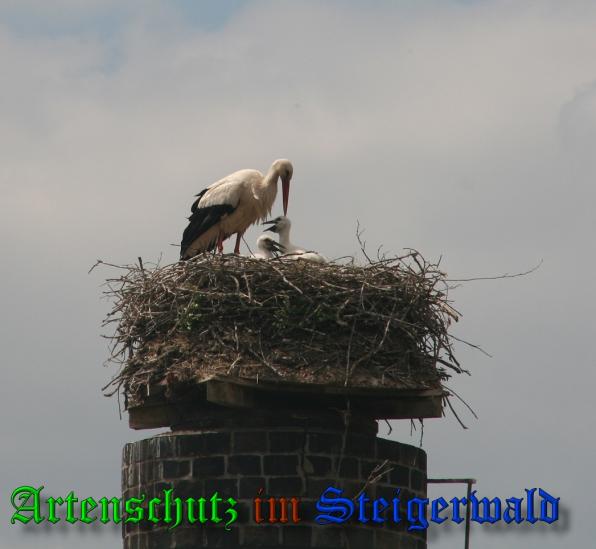 Copyright AiS - Schmit Bild zum Eintrag (38227-160)