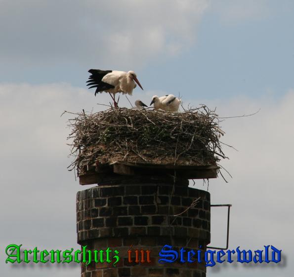 Copyright AiS-Schmitt Bild zum Eintrag (38228-160)