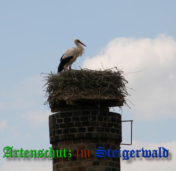 Copyright AiS-Schmitt Bild zum Eintrag (38229-160)