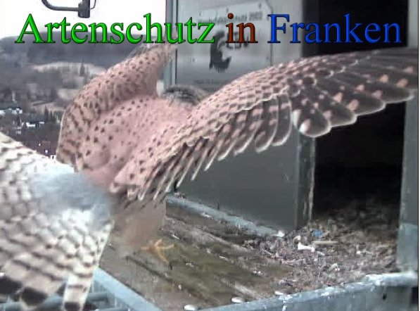 Copyright AiS- Wörner Bild zum Eintrag (44947-160)