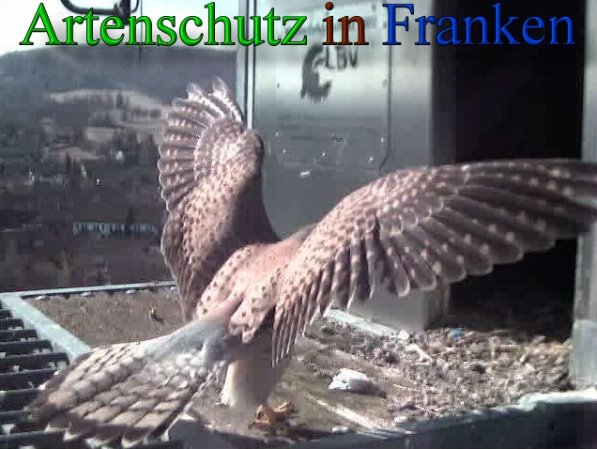 Copyright AiS- Wörner Bild zum Eintrag (44949-160)