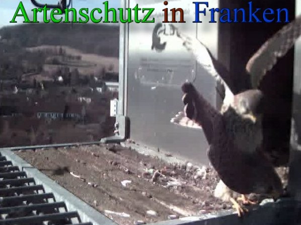 Copyright AiS- Wörner Bild zum Eintrag (44958-160)
