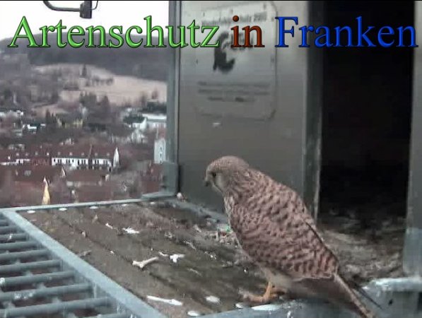 Copyright AiS -Wörner Bild zum Eintrag (45232-160)