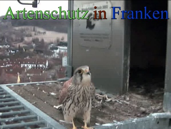 Copyright AiS -Wörner Bild zum Eintrag (45233-160)