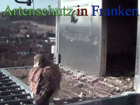 Copyright AiS -Wörner Bild zum Eintrag (45234-160)