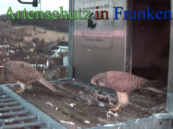 Copyright AiS- Wörner Bild zum Eintrag (45239-160)
