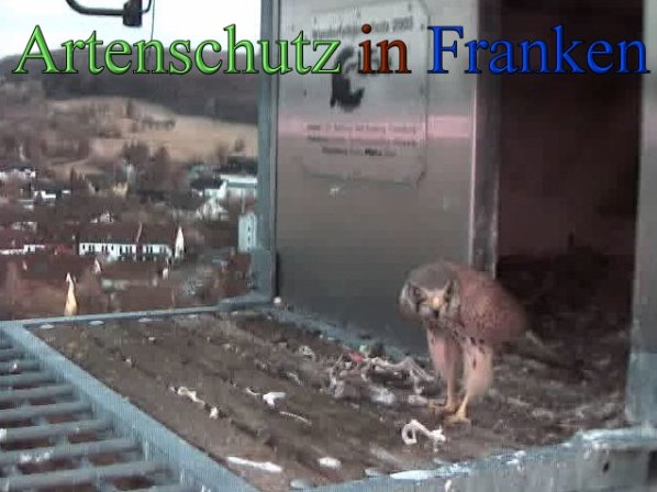 Copyright AiS- Wörner Bild zum Eintrag (45241-160)