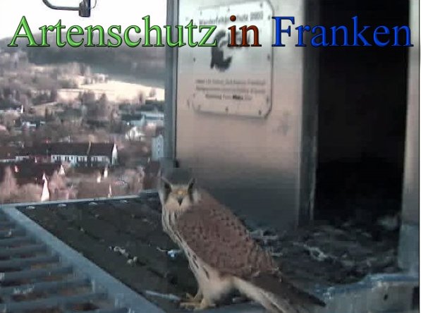 Copyright AiS- Wörner Bild zum Eintrag (45242-160)
