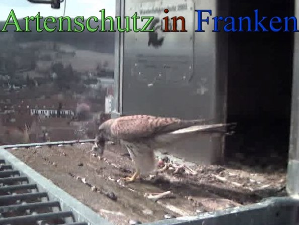 Copyright AiS- Wörner Bild zum Eintrag (45243-160)