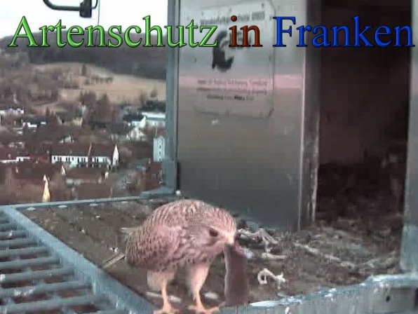 Copyright AiS- Wörner Bild zum Eintrag (45244-160)