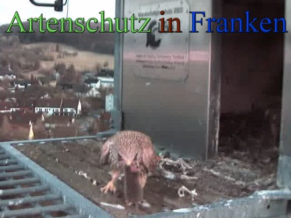 Copyright AiS- Wörner Bild zum Eintrag (45245-160)