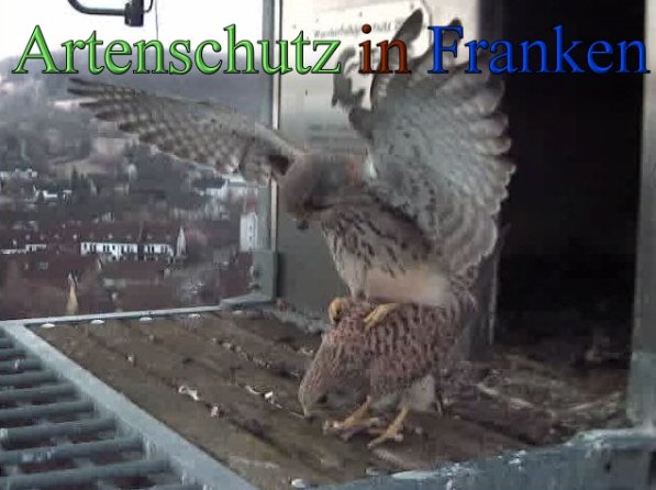 Copyright AiS- Wörner Bild zum Eintrag (45251-160)