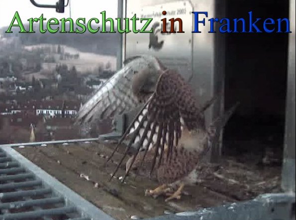 Copyright AiS- Wörner Bild zum Eintrag (45257-160)