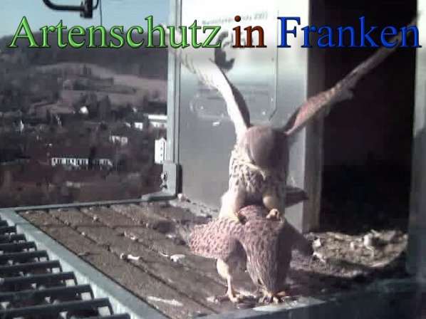 Copyright AiS- Wörner Bild zum Eintrag (45259-160)