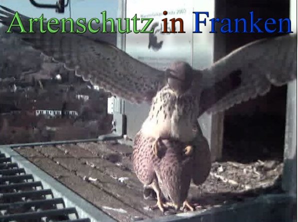 Copyright AiS- Wörner Bild zum Eintrag (45260-160)
