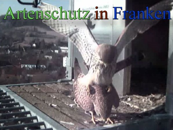 Copyright AiS- Wörner Bild zum Eintrag (45261-160)