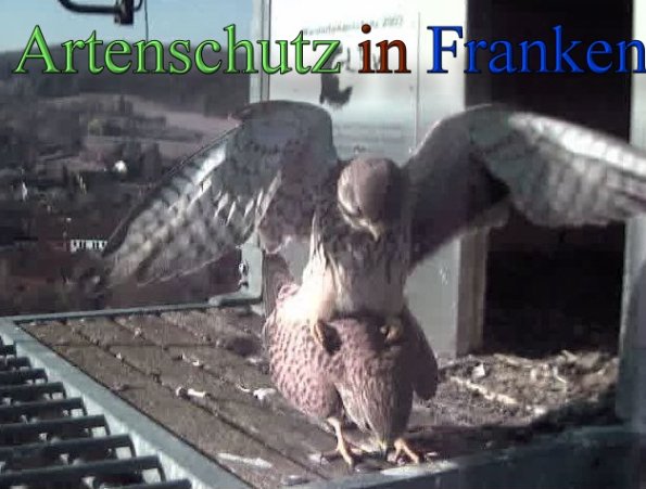 Copyright AiS- Wörner Bild zum Eintrag (45262-160)