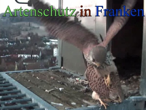 Copyright AiS- Wörner Bild zum Eintrag (45263-160)