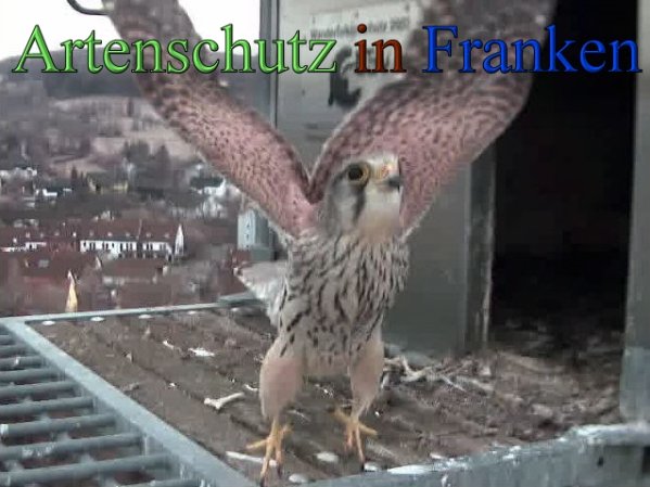 Copyright AiS- Wörner Bild zum Eintrag (45267-160)