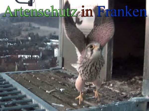 Copyright AiS- Wörner Bild zum Eintrag (45268-160)