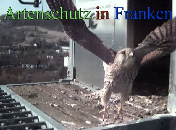 Copyright AiS- Wörner Bild zum Eintrag (45269-160)