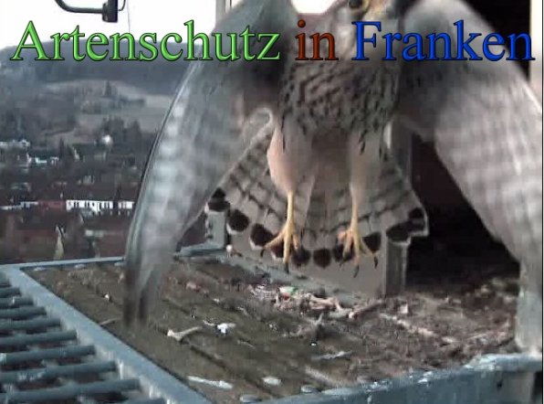 Copyright AiS- Wörner Bild zum Eintrag (45270-160)