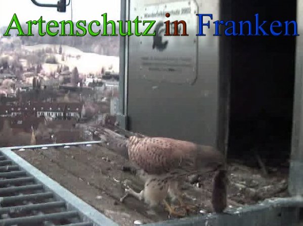 Copyright AiS -Wörner Bild zum Eintrag (45540-160)