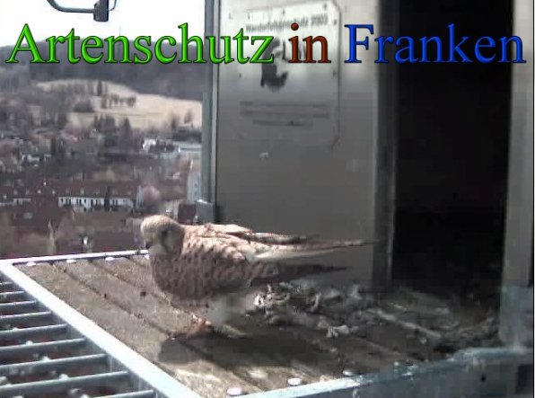 Copyright AiS- Wörner Bild zum Eintrag (45541-160)
