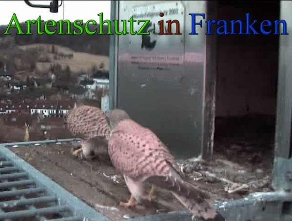 Copyright AiS- Wörner Bild zum Eintrag (45543-160)