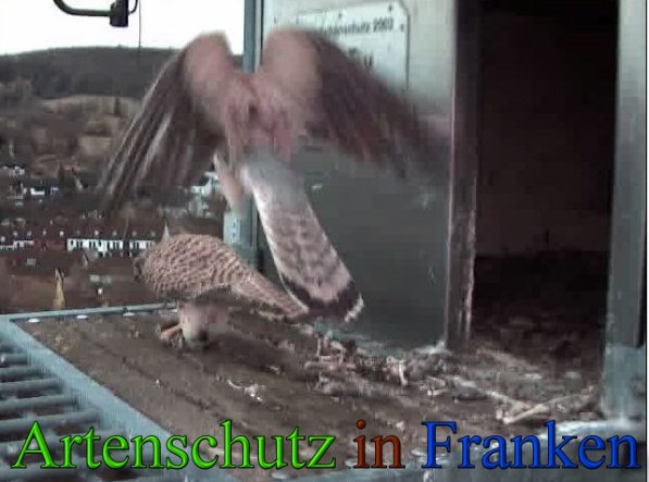 Copyright AiS- Wörner Bild zum Eintrag (45544-160)