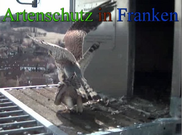 Copyright AiS- Wörner Bild zum Eintrag (45545-160)