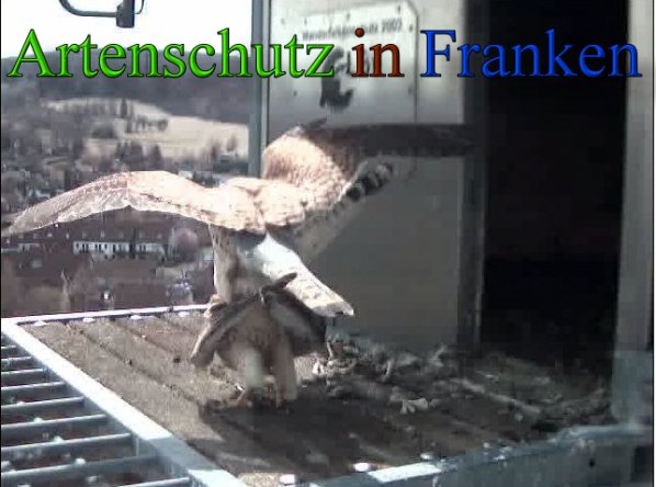 Copyright AiS- Wörner Bild zum Eintrag (45546-160)