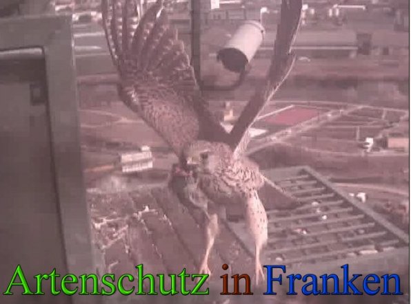 Copyright AiS- Wörner Bild zum Eintrag (45547-160)