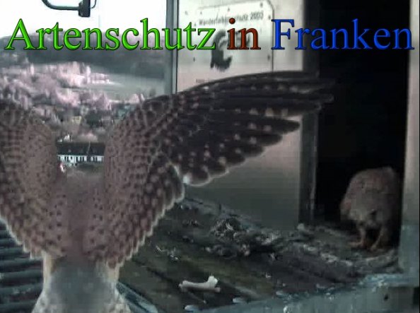 Copyright AiS- Wörner Bild zum Eintrag (45548-160)