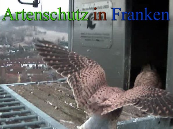 Copyright AiS- Wörner Bild zum Eintrag (45549-160)