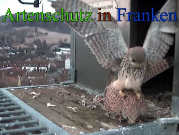 Copyright AiS- Wörner Bild zum Eintrag (45550-160)