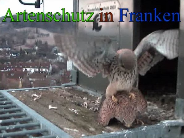 Copyright AiS- Wörner Bild zum Eintrag (45551-160)