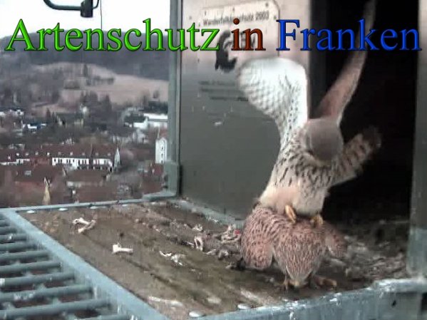Copyright AiS- Wörner Bild zum Eintrag (45552-160)
