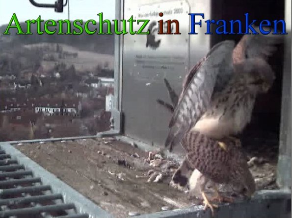 Copyright AiS- Wörner Bild zum Eintrag (45554-160)