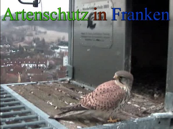Copyright AiS- Wörner Bild zum Eintrag (45558-160)