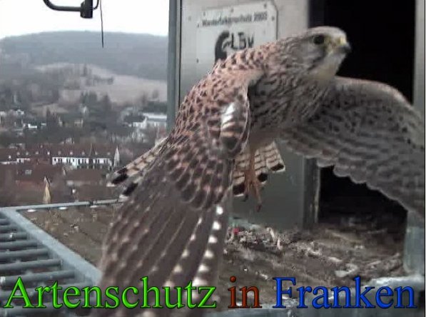 Copyright AiS- Wörner Bild zum Eintrag (45560-160)