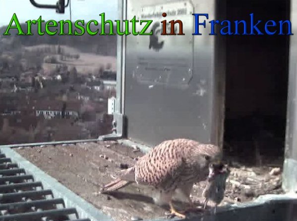 Copyright AiS- Wörner Bild zum Eintrag (45561-160)