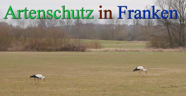 Copyright AiS Brigitte Schmitt Bild zum Eintrag (46802-160)