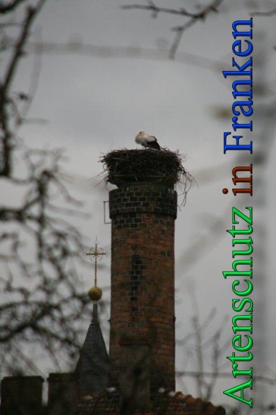Copyright AiS Brigitte Schmitt Bild zum Eintrag (46803-160)