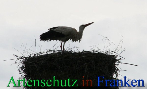 Copyright AiS Brigitte Schmitt Bild zum Eintrag (46804-160)
