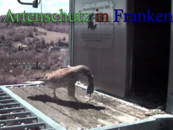 Copyright AiS- Wörner Bild zum Eintrag (47088-160)