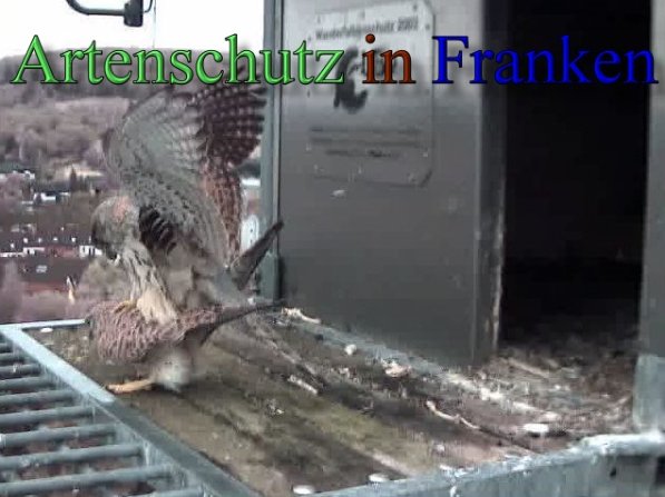 Copyright AiS-wörner Bild zum Eintrag (47090-160)